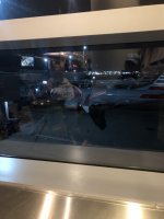 IMG_4473.jpeg