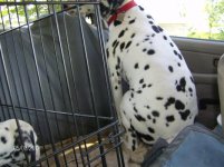 HPIM0634 (Custom).JPG