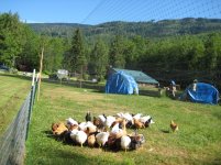 IMG_2002 - Copy.jpg