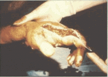 img5.gif