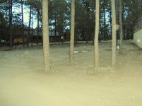 Taylor seedbed 1 31 2911 004.jpg