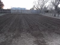 Garden 3-12-12 010 (1280x960).jpg