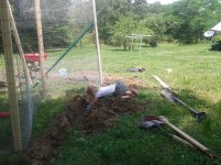 2012-05-28 12.22.55.jpg