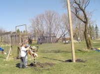 Deere and tree house 001.jpg