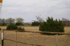 IMGP0019.jpg