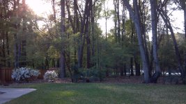 2012-03-19_18-18-05_782.jpg