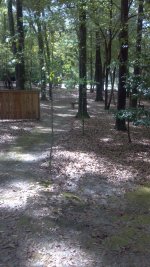 2012-03-21_14-07-17_463.jpg