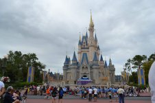 DSC_0103.jpg
