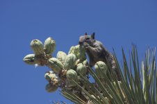 IMG_7044.jpg
