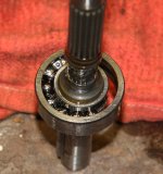 BEARING IMG_3117.jpg