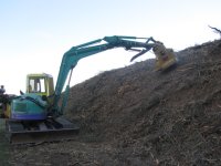 field mulching 009.JPG