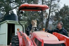Skeeter in the driver's seat.JPG