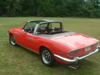 459045-Stag3.jpg