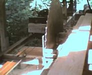415228-Saw mill pics06.jpg