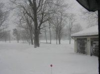 387473-early morning snow.jpg