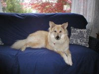 416016-Buddy4.JPG