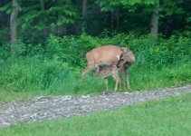 DSC_0015.JPG