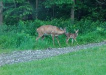 DSC_0020.JPG