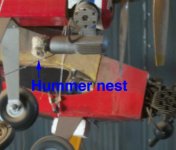 hummere nest 3.jpg