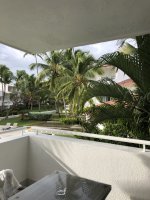 IMG_4474.jpeg