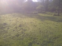 Nelson-20120610-00278.jpg