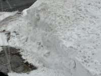 IMG_2141.jpeg