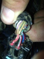 image-324812427.jpg