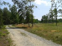 2012-07-05 14.47.25.jpg