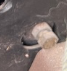 Screenshot 2025-02-15 065130.png