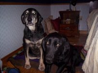 551156-our girls.jpg