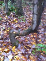 image-2293208836.jpg