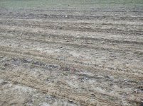 foodplot.jpg