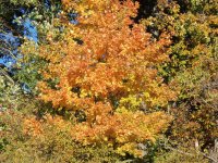 100_0173.jpg