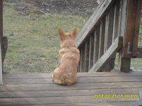SAM_0420.jpg