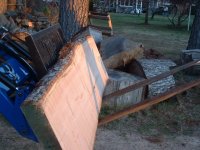 Red Oak 4.00 012012 3 (640x480).jpg