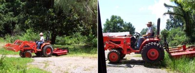 463665-Cutting.jpg