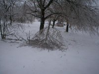 552340-3.jpg