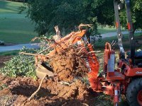 464672-stump.JPG