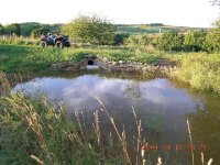 552406-pond-4.jpg