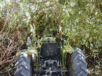 465009-TractorInBramblesDSCN4593r.JPG