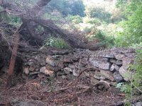 465408-wallunderthere.jpg