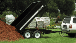 593051-dump.gif