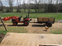 BX Dump Trailer and Baby Chicks 018.jpg