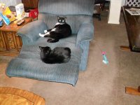 Romeo and Julie 062.jpg