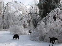IMG_1443.jpg