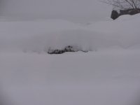 IMG_5440.JPG
