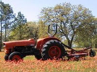 376060-Tractor and cutter.jpg