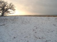 376986-snowhill.jpg