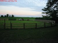 467835-IMG_1462.JPG