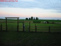 467836-IMG_1463.JPG